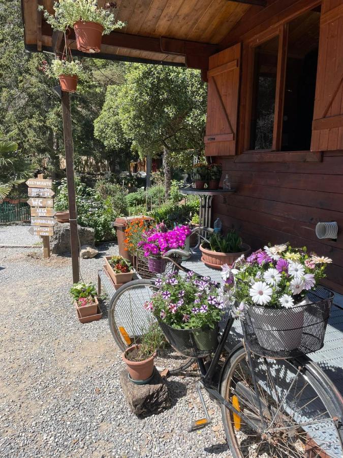 Agricamping Le Terrazze Hotel Orco Feglino Exterior photo